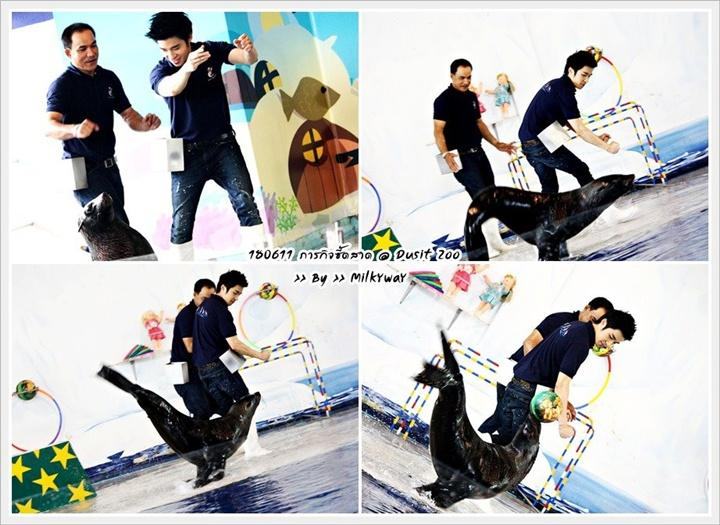 [AF4] ณัฐ ศักดาทร @ รายการ Mission Seed Saad ตอน SEED Animals
