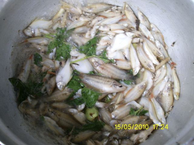 ทานส้มตำและอาหารอีสานกันค่ะ