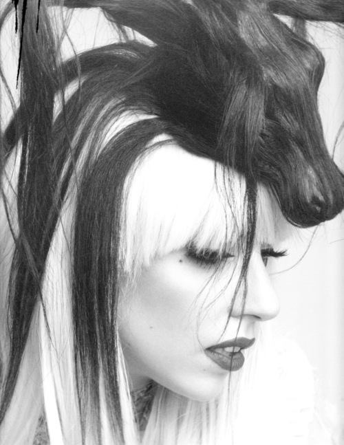 ภาพ Photoshoot : Lady Gaga จากช่างภาพ Leslie Kee!!!