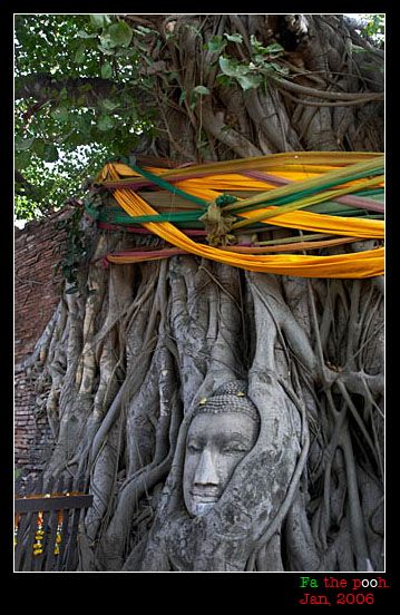 พระนครศรีอยุธยา น้ำลดแล้วค่ะไปฟื้นฟู ททท เที่ยวกันนะคะ