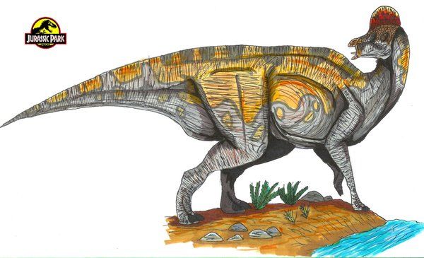 แบบร่าง ไดโนเสาร์ ในเรื่อง Jurassic Park ค่ะ