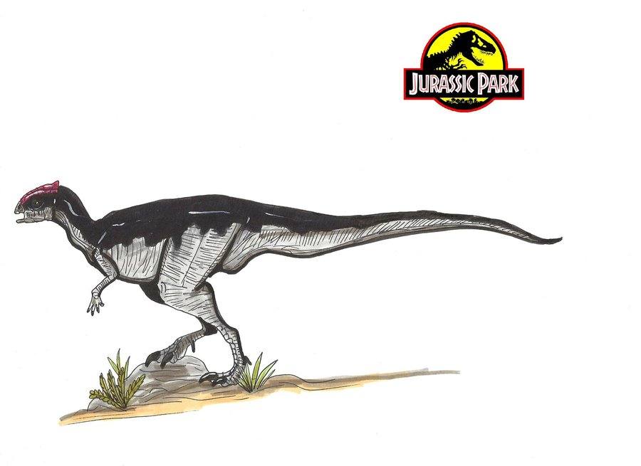 แบบร่าง ไดโนเสาร์ ในเรื่อง Jurassic Park ค่ะ