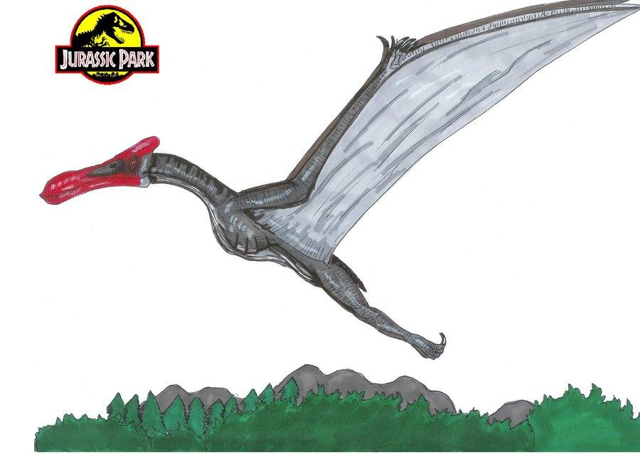 แบบร่าง ไดโนเสาร์ ในเรื่อง Jurassic Park ค่ะ