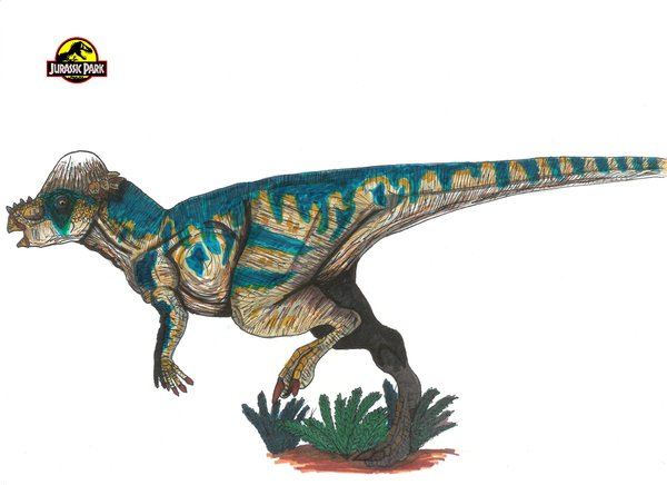 แบบร่าง ไดโนเสาร์ ในเรื่อง Jurassic Park ค่ะ