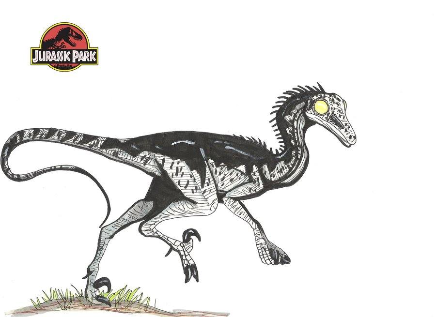 แบบร่าง ไดโนเสาร์ ในเรื่อง Jurassic Park ค่ะ