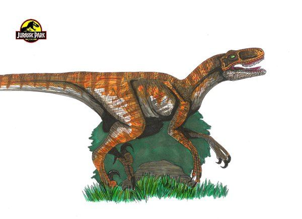 แบบร่าง ไดโนเสาร์ ในเรื่อง Jurassic Park ค่ะ