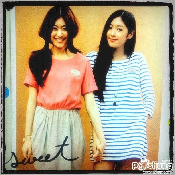 ยิปซี ยิปโซ พี่น้องอาร์ทติส