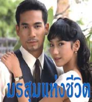 มรสุมแห่งชีวิต