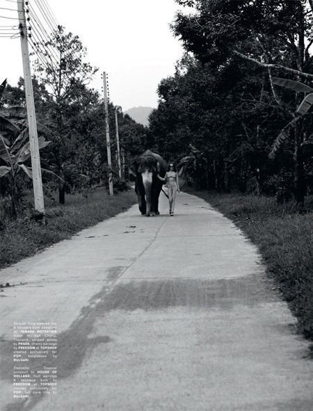 POP MAGAZINE: SAMANTHA GRADOVILLE BY PHOTOGRAPHERS SEAN & SENG