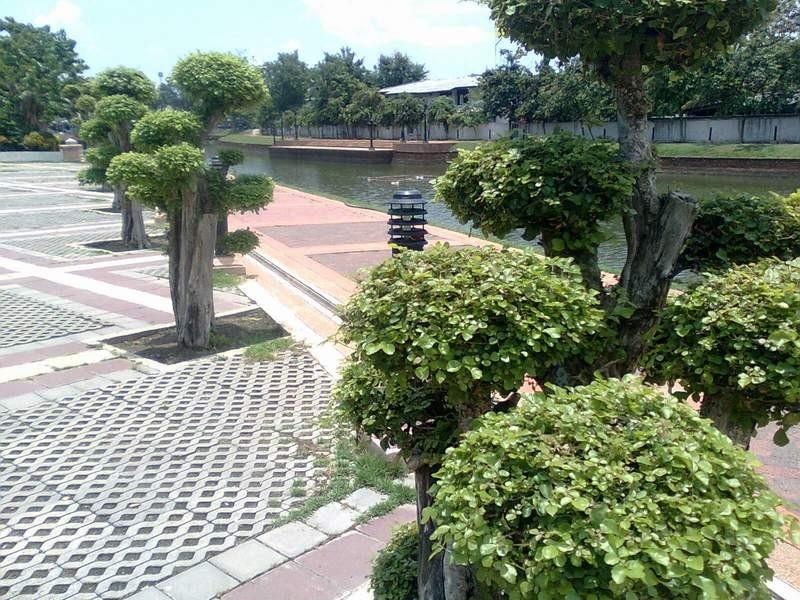 มนต์เสน่ห์เมืองแป๊ะ