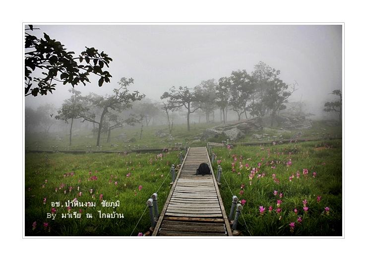 นครกาหลง จังหวัดที่ครั้งหนึ่งในชีวิตต้องมาเยือน