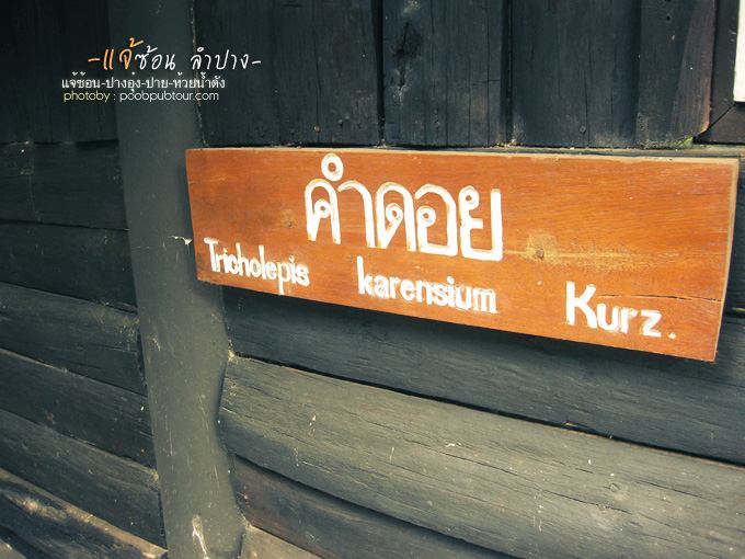 อุทยานแห่งชาติแจ้ซ้อน