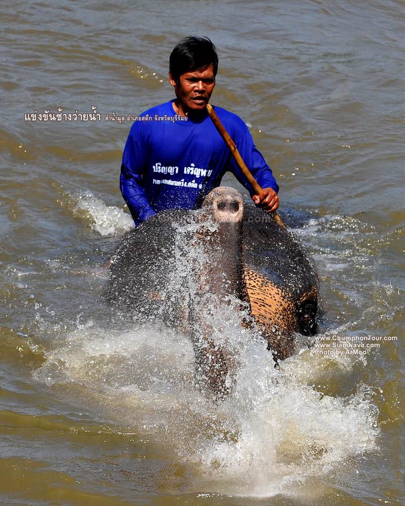 ประชาสัมพันธ์กิจกรรมท่องเที่ยวประเพณีแห่งลุ่มน้ำมูล