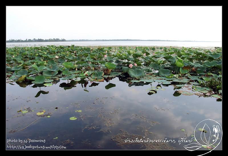 ทะเลสาบบุรีรัมย์