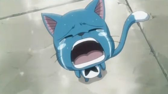 คนรัก Fairy Tail (3)