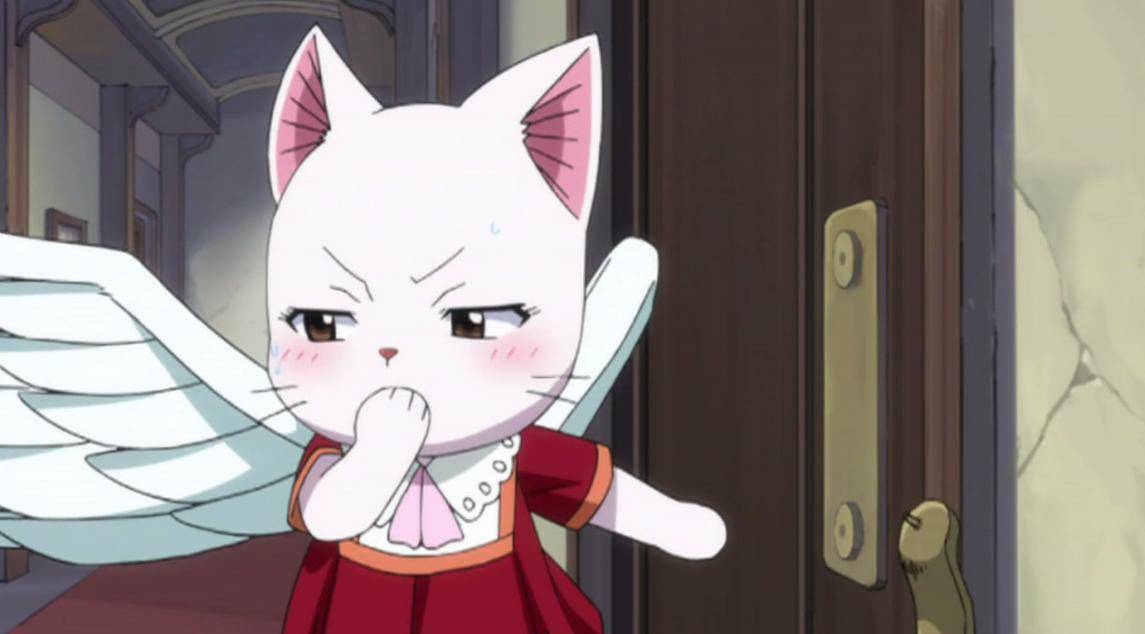 คนรัก Fairy Tail (3)