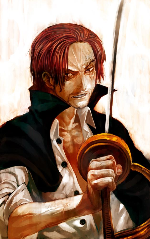 onepiece art