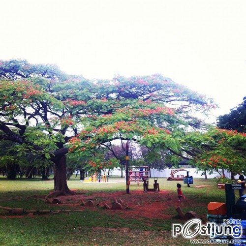 10. Parque do Ibirapuera