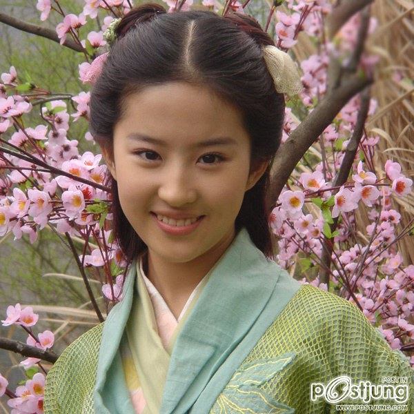หลิวอี้เฟย - Liu Yi Fei ยอดนางเอกซีรีย์อันดับ 1 ของจีนในขณะนี้
