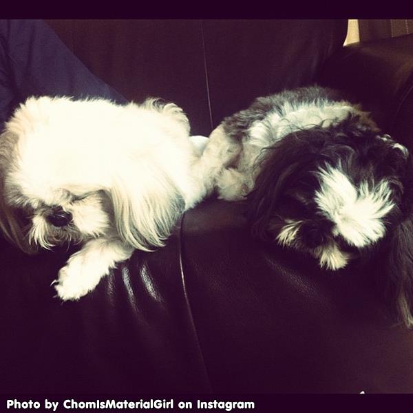 รูปแนวๆของชมพู่ อารยา จาก Instagram
