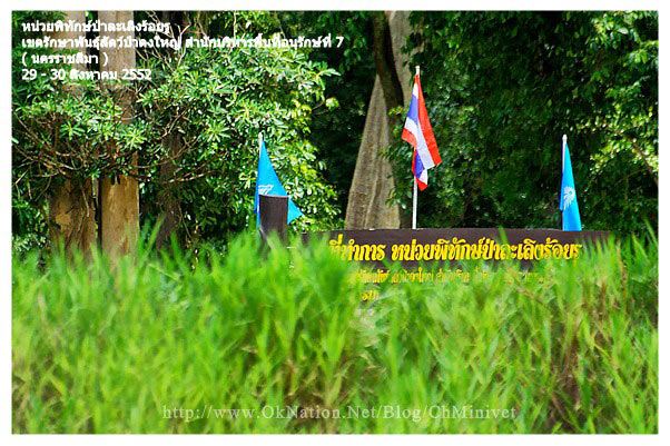 พาชมผืนป่าดงใหญ่และละเลิงร้อยรู บุรีรัมย์ค่ะ