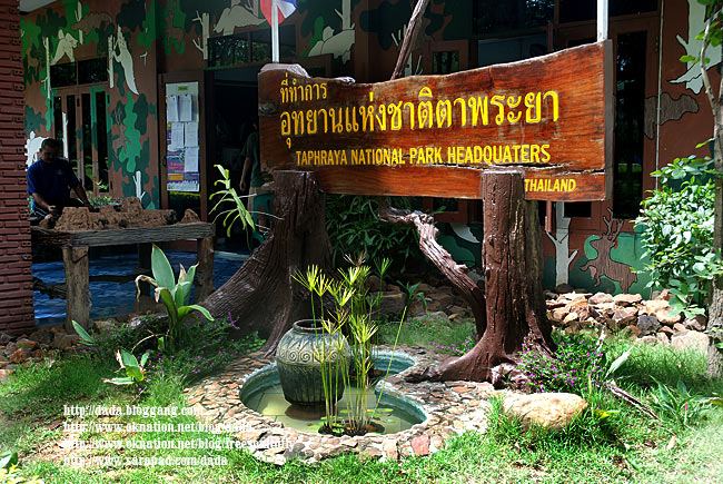พาชมผืนป่าดงใหญ่และละเลิงร้อยรู บุรีรัมย์ค่ะ