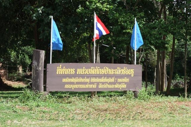 พาชมผืนป่าดงใหญ่และละเลิงร้อยรู บุรีรัมย์ค่ะ
