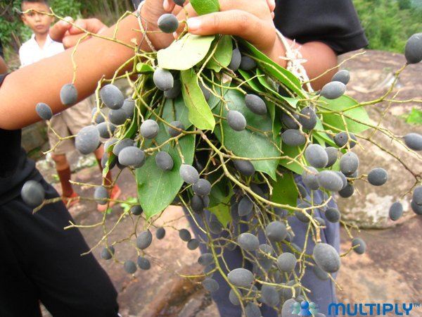 ครั้งหนึ่งของชีวิตต้องมาเยือน"ผาแดง"