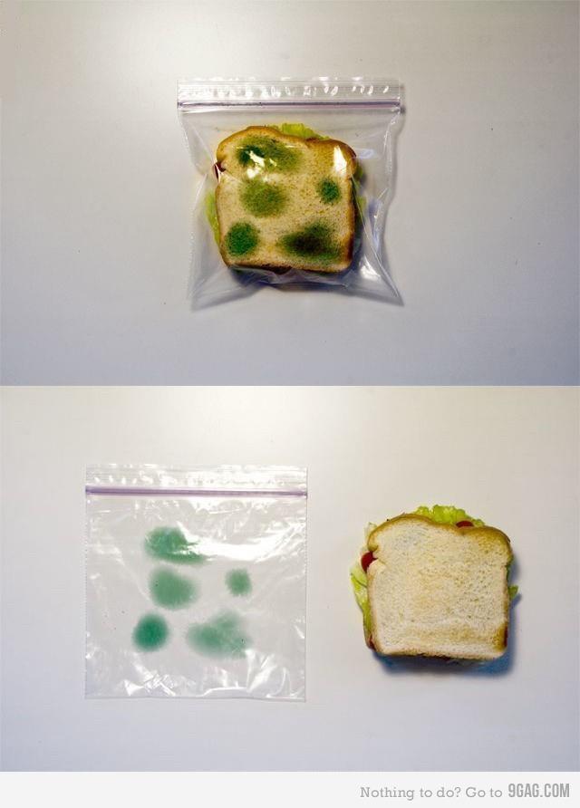 1234