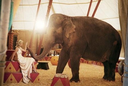 VOGUE MAGAZINE: REESE WITHERSPOON IN "WATER FOR ELEPHANTS" BY PHOTOGRAPHER PETER LINDBERGH