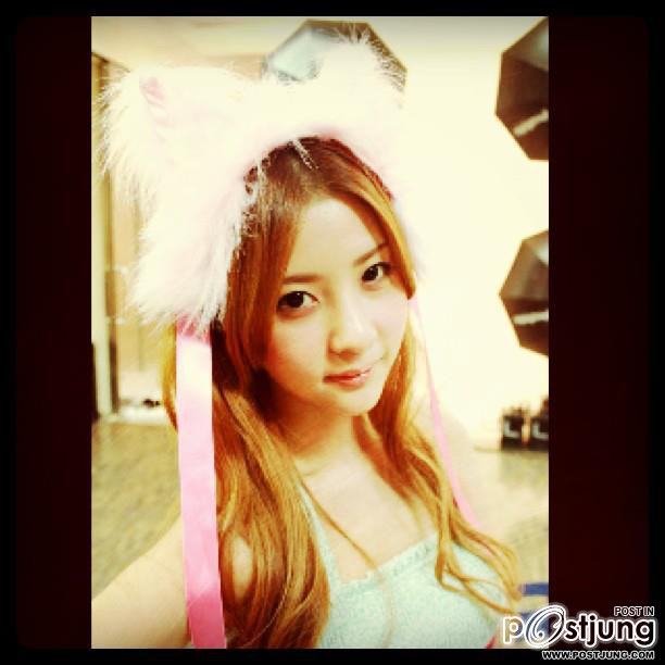 dolly noey