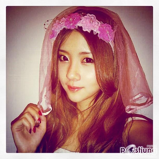 dolly noey