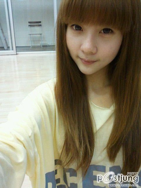 dolly noey