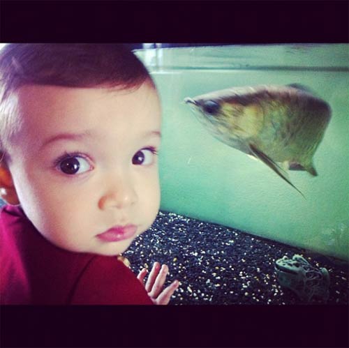 หล่อน่ารัก น้องฮาร์เปอร์ ลูกชายคุณพ่อฮิวโก้