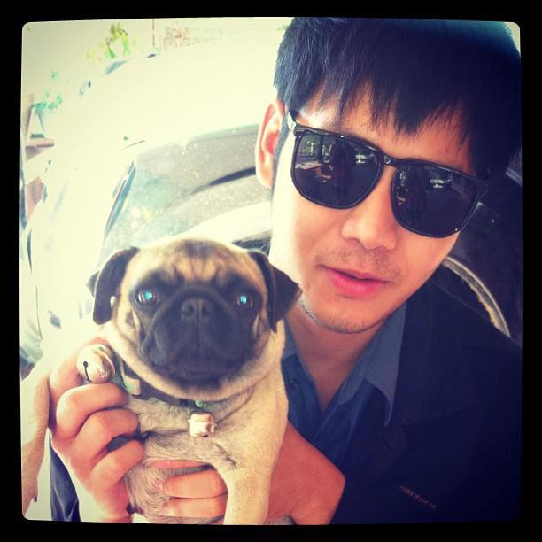 Pug PA