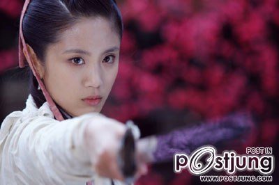 กระบี่ผีเสื้อสะท้านภพ Meteor Butterfly Sword (2010)
