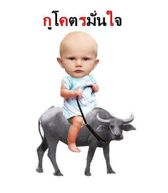 รูปสุดฮา คลายเครียด2 จนคุณต้อง 5555