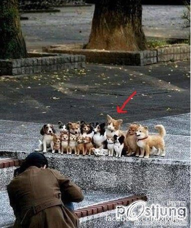 รูปสุดฮา คลายเครียด2 จนคุณต้อง 5555