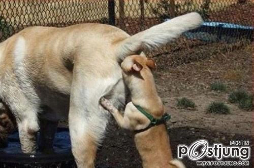 รูปสุดฮา คลายเครียด4 จนคุณต้อง 5555555.....