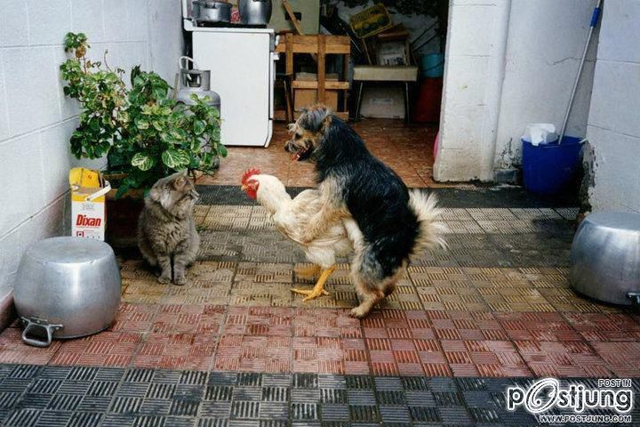 รูปสุดฮา คลายเครียด4 จนคุณต้อง 5555555.....