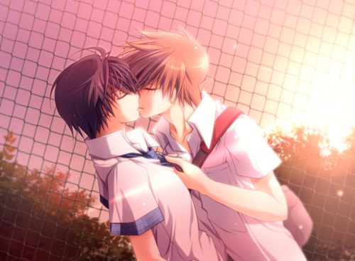 YAOI O79
