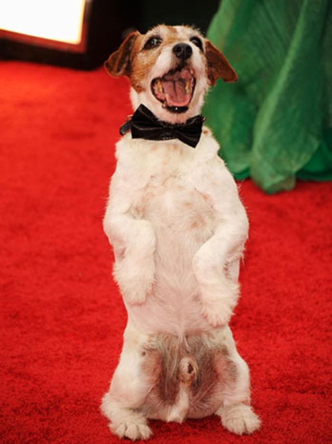 GOLDEN GLOBES 2012 COVERAGE: THE STARS TAKE TO THE RED CARPET INCLUDING, MADONNA, ANGELINA JOLIE, ME