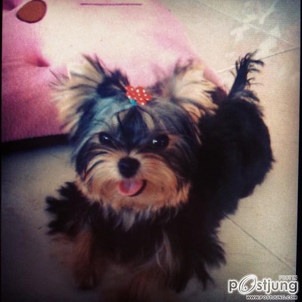 น่ารัก