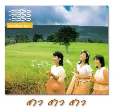 แมกไม้และสายธาร