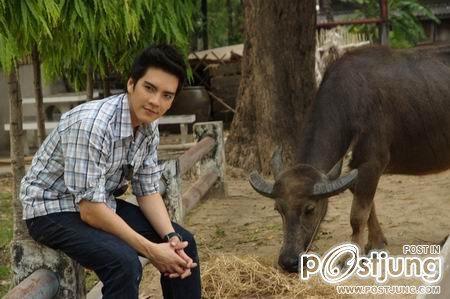 ละคร สนุกสนาน กระบือบาล