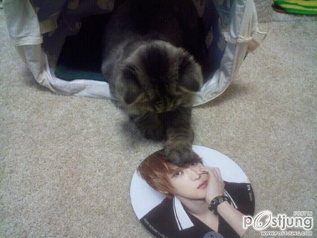 jyj  and เเจจุง