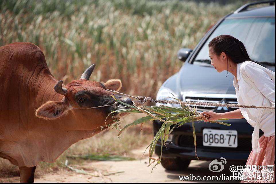 戀夏38℃ / Lian Xia 38℃