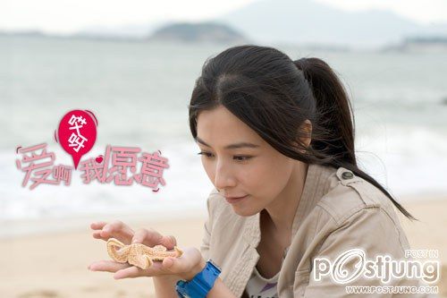 Love, I Do 愛啊哎呀，我愿意 (2012)