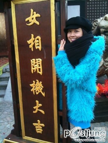 Female Prime Minister 女相 (2012)