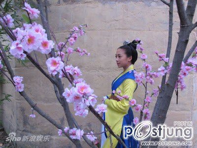 Female Prime Minister 女相 (2012)